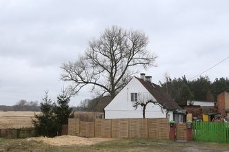 Ustawa o obrocie ziemią uderza we właścicieli działek rolnych. Banki nie chcą udzielać kredytów