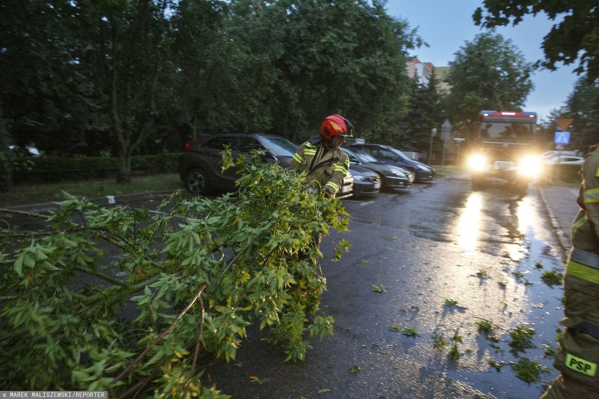 pogoda, prognoza pogody, wiatr Będzie silnie wiało. Są ostrzeżenia