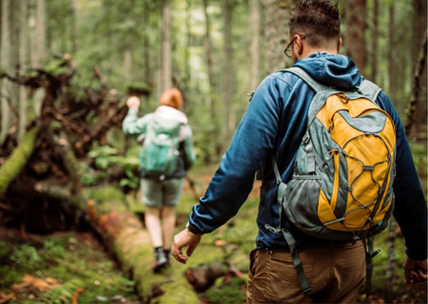 W lesie należy zachować szczególną ostrożność