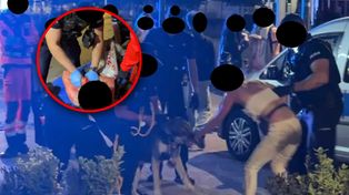 Policja walczyła z psem. Wszystko nagrywał. Obezwładnili go
