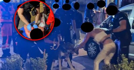 Policja walczyła z psem. Wszystko nagrywał. Obezwładnili go