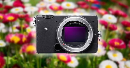 Sigma fp to najlżejsza pełna klatka, jaką do tej pory widzieliśmy