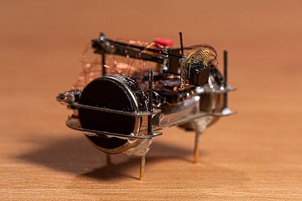 Ten mały bezprzewodowy aparat można zamocować na… żuku! 2