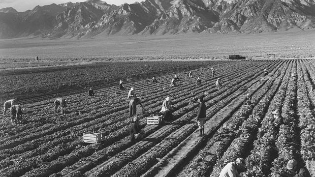 Ansel Adams sfotografował amerykańskie obozy koncentracyjne w czasie II Wojny Światowej 1