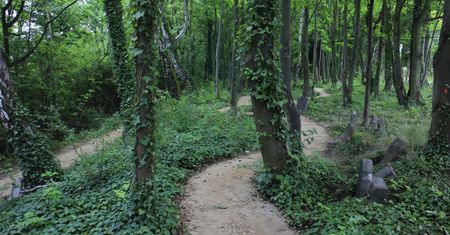 Atrakcja na Górze Straceńców. Nostalgiczne miejsce ze smutną przeszłością