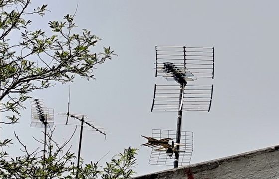 Niebawem decyzja ws. nowych stacji naziemnych. Ilu chętnych?