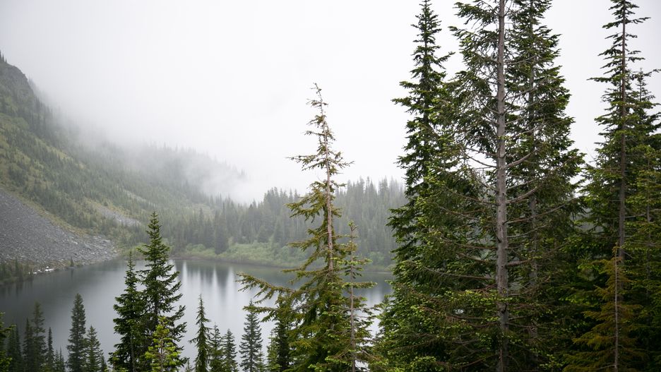 Park Narodowy Mount Rainier w USA.