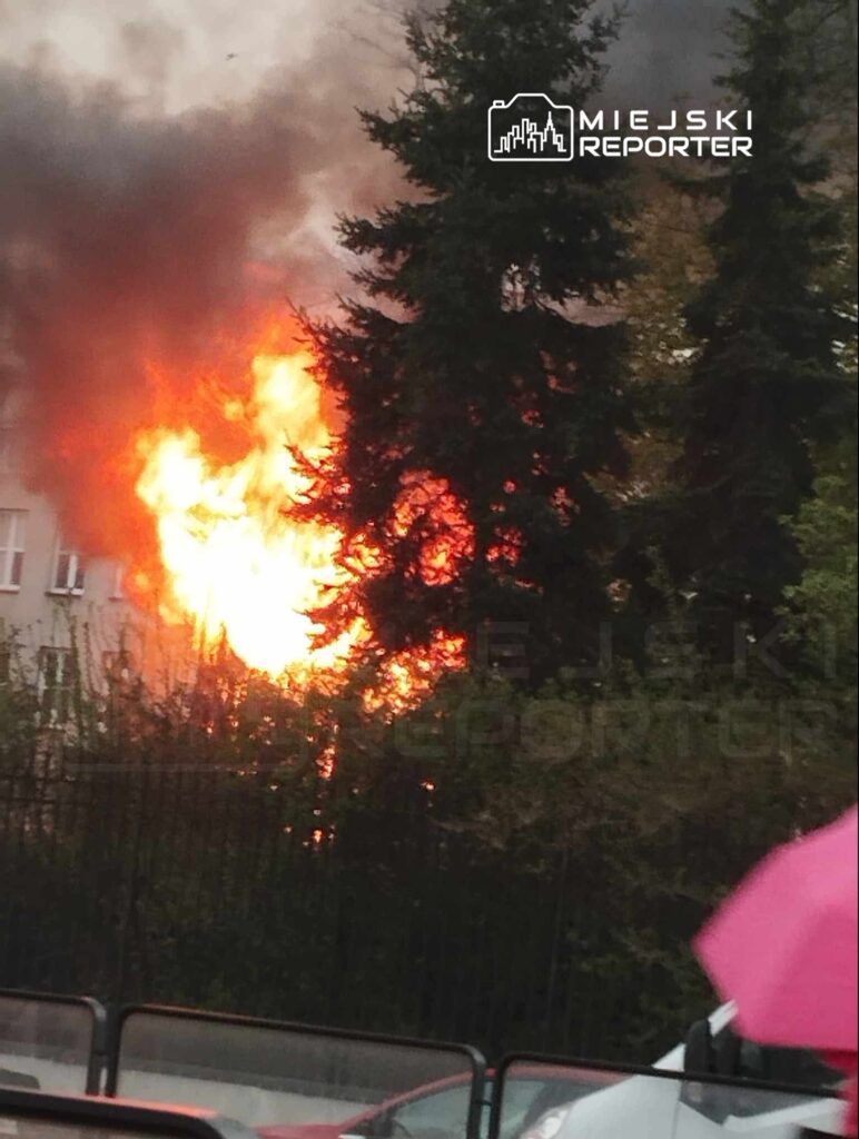 Fot. Czytelnik Miejskiego Reportera