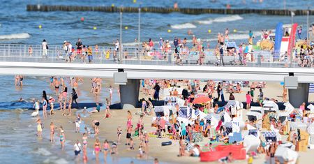 Ten przysmak króluje na polskich plażach. Trzeba jednak słono za niego zapłacić