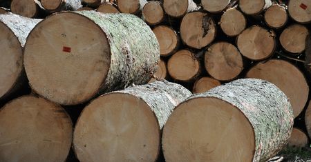 Ekspert: w piecu palmy biomasą drzewną i drewnem sezonowanym