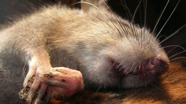 Co nauka mówi o istnieniu duszy? 1