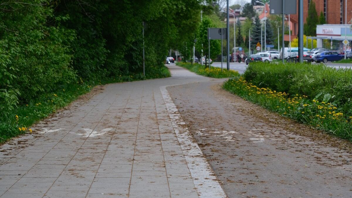 Ścieżka rowerowa wzdłuż al. Warszawskiej