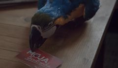 Krystyna Czubówna z dziką przygodą reklamuje nową promocję w programie Moja Biedronka (wideo)