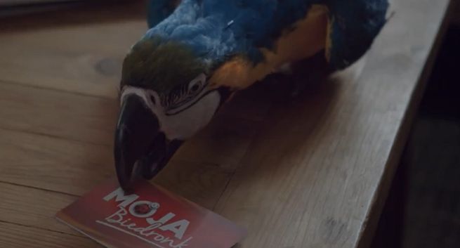 Krystyna Czubówna z dziką przygodą reklamuje nową promocję w programie Moja Biedronka (wideo)