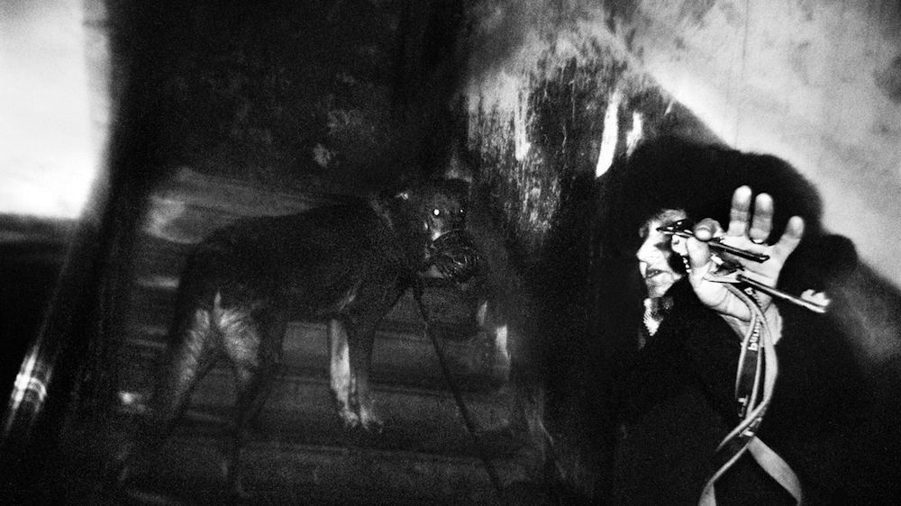 Piotr Zbierski wśród laureatów Leica Oskar Barnack Award 2012 1