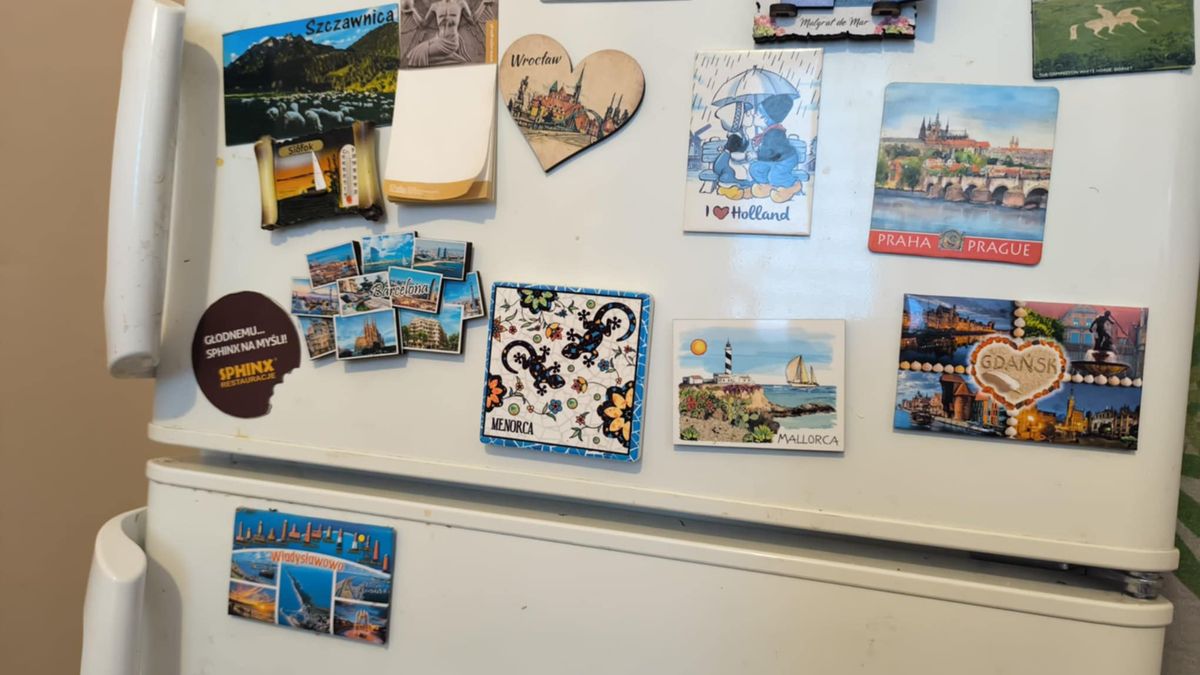 Jakie ryzyko niosą ze sobą magnesy na lodówce?