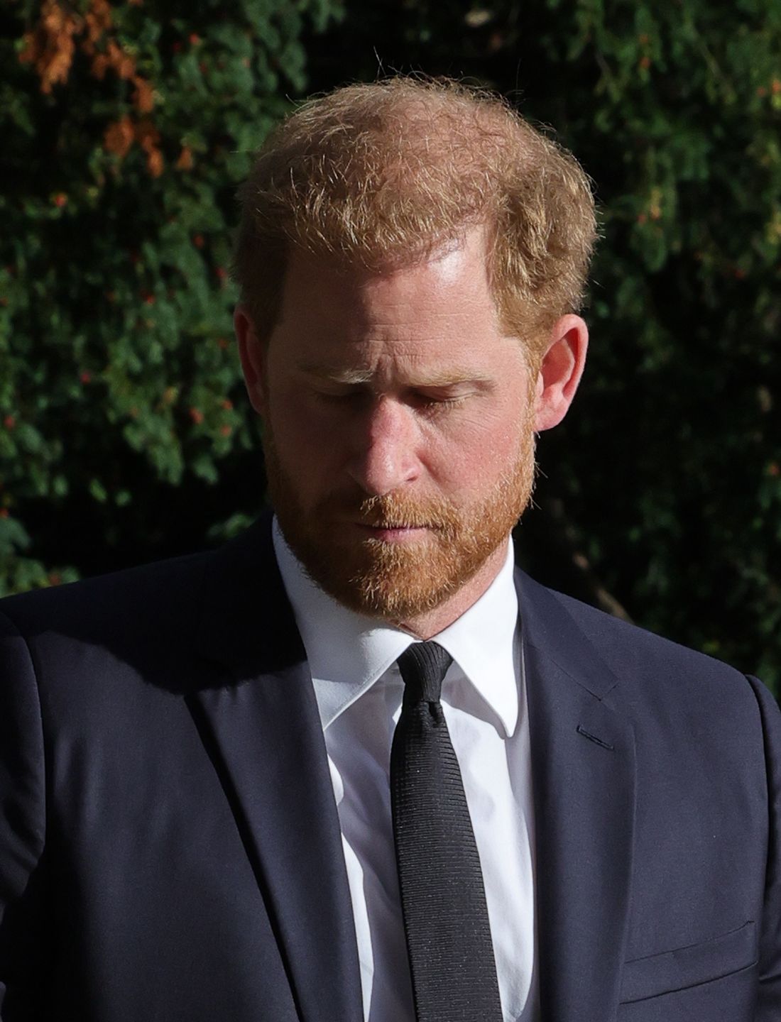 książę Harry