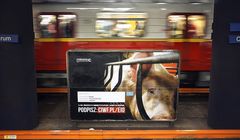 Świnie i króliki w warszawskim metrze. Akcja Compassion Polska