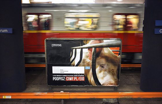 Świnie i króliki w warszawskim metrze. Akcja Compassion Polska