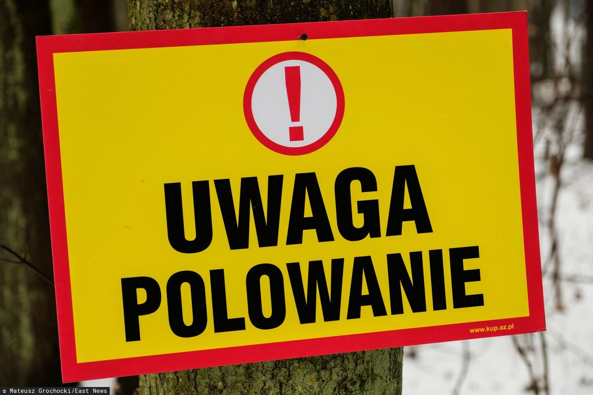 Skandal na polowaniu, myśliwy zabił zwierzę pod ochroną. Sprawę bada policja