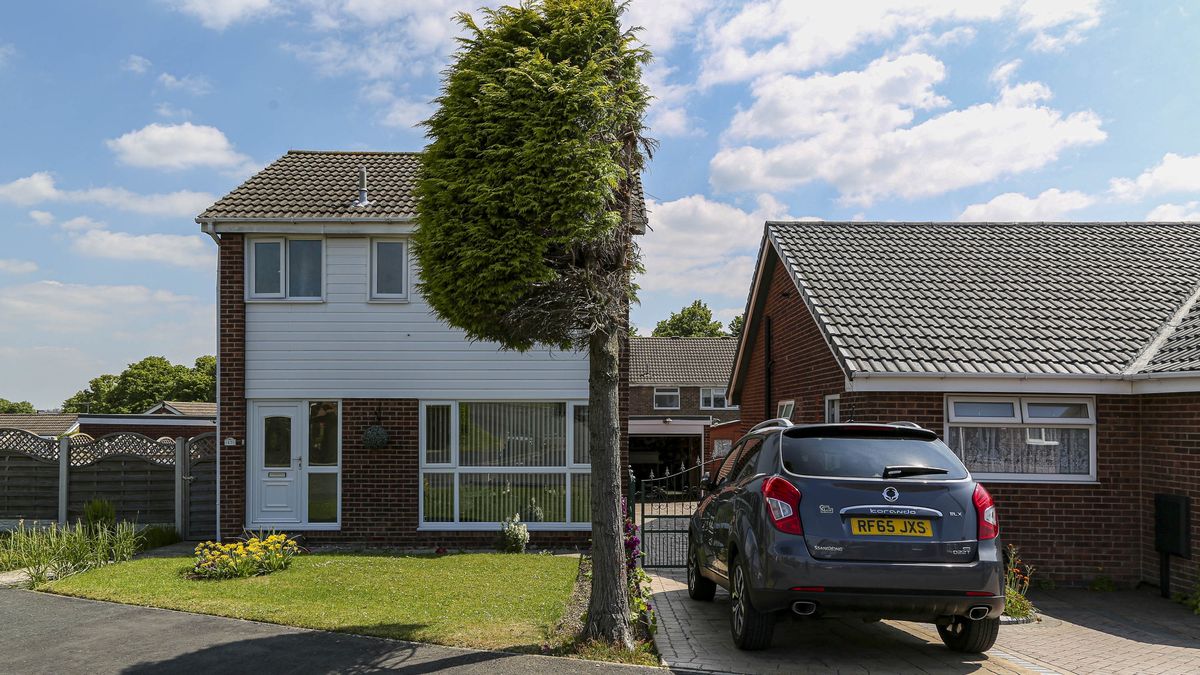   Emeryci przecięli drzewo sąsiada na pół