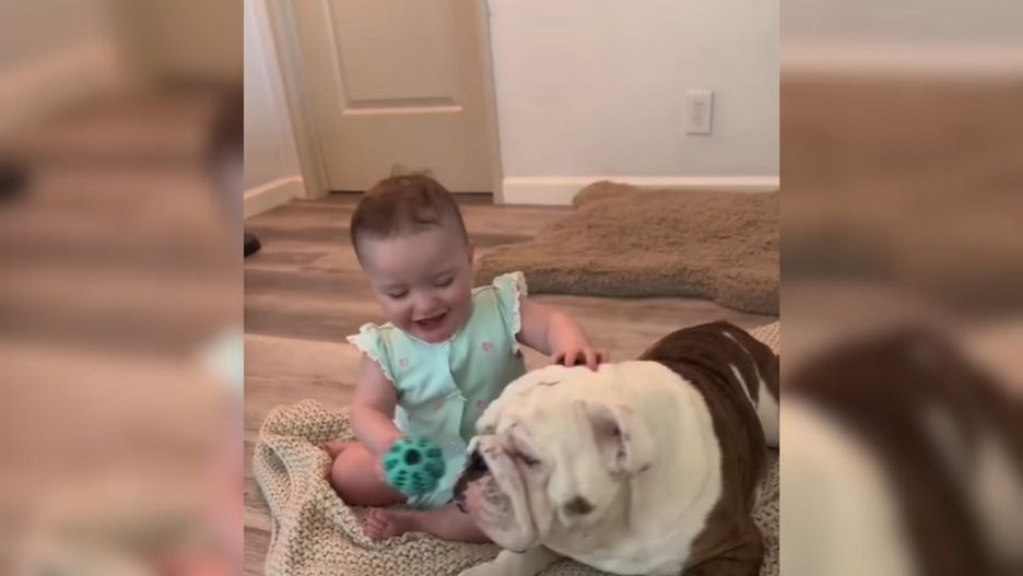 Poruszające wideo hitem TikToka