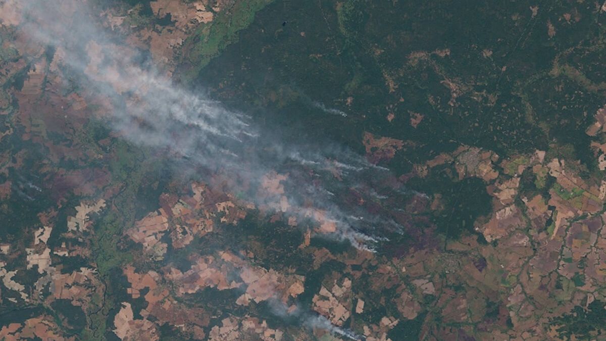 Zapach spalenizny w powietrzu spowodowany pożarami w Ukrainie