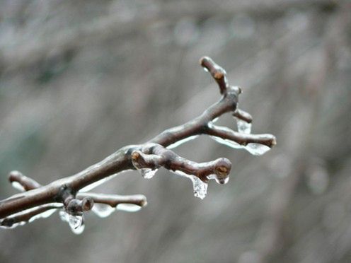 TOPster - zimne gry na upalne dni