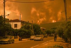 Najnowszy raport ONZ ws. klimatu. "Czerwony alert dla ludzkości"