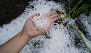 Zrobiło się aż biało. Grad "duży jak groch".