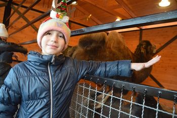 Łódzkie: Ogromna żywa szopka w Zoo Borysew zachwyca