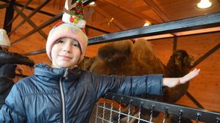 Łódzkie: Ogromna żywa szopka w Zoo Borysew zachwyca