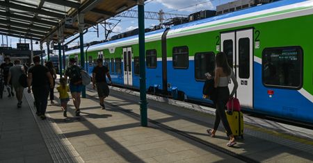 Można je złapać w pociągu i operze. Entymolog ostrzega