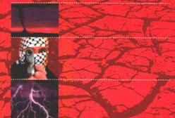 Cud przychodzi do tych, którzy potrafią go zobaczyć