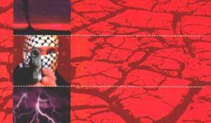 Cud przychodzi do tych, którzy potrafią go zobaczyć