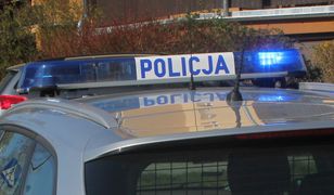 Strzegowo. Wypadek na drodze krajowej numer 7