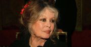 Prawa zwierząt. Brigitte Bardot protestuje przeciw skubaniu żywych gęsi w Polsce