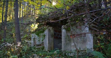 Wałbrzych. Grobowiec Hermanna Brehmera zagrożony. Miłośnicy Sokołowska chcą go uratować