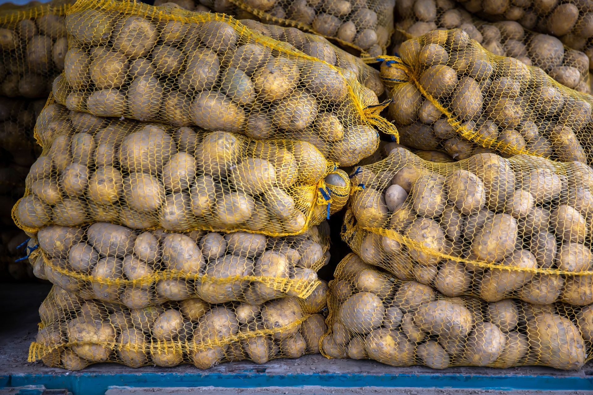 Tyle ton ziemniaków wyjechało z Polski. Ten kraj importuje najwięcej