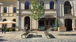 Na lubelskim deptaku pojawiły się pierwsze nowe drzewa. Trwa wymiana chorych platanów