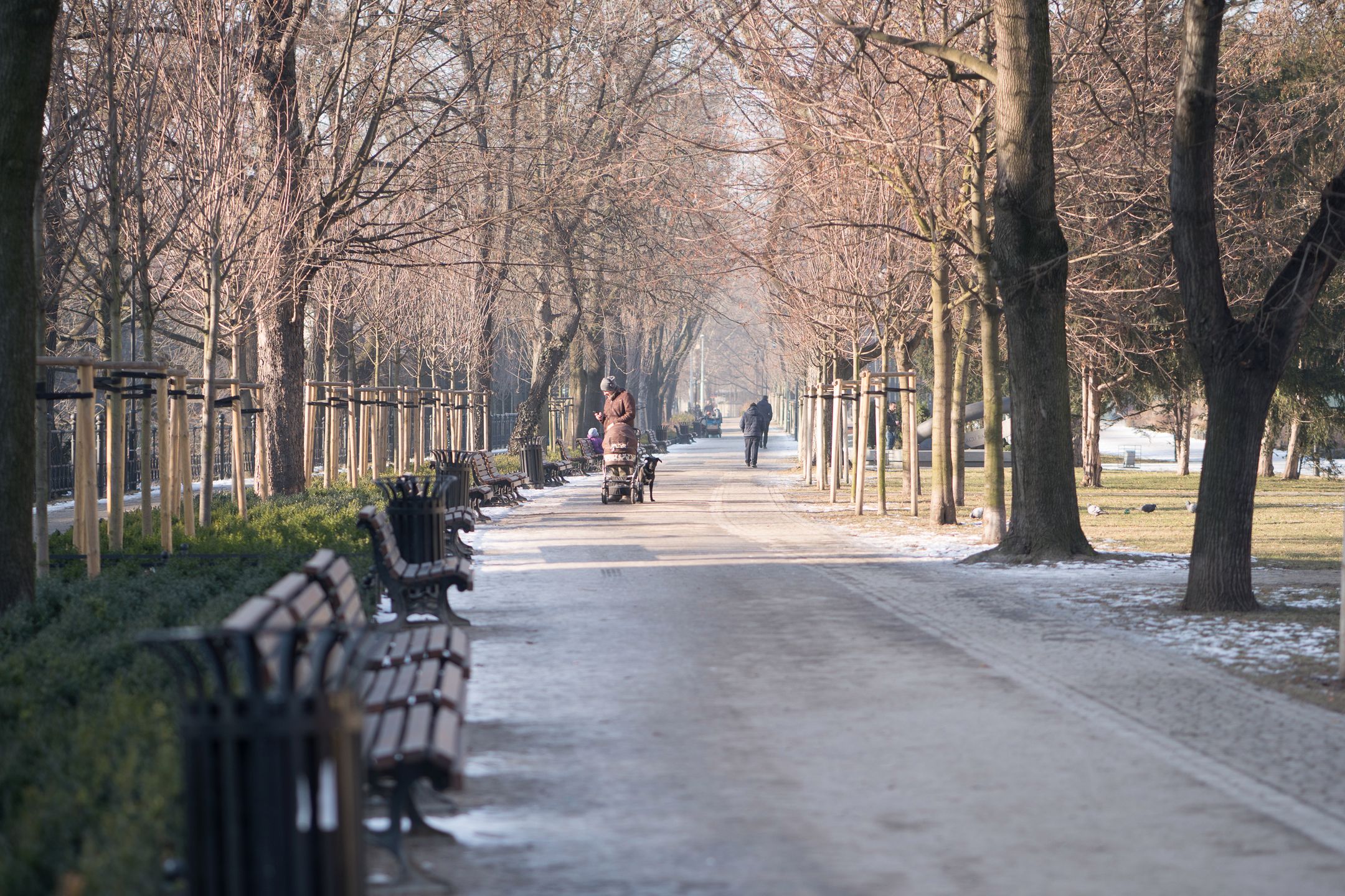 Sony A6500 - topowy bezlusterkowiec pełen sprzeczności [test] 146