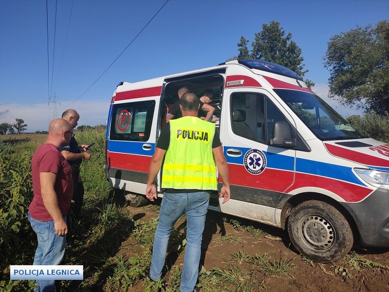 policja