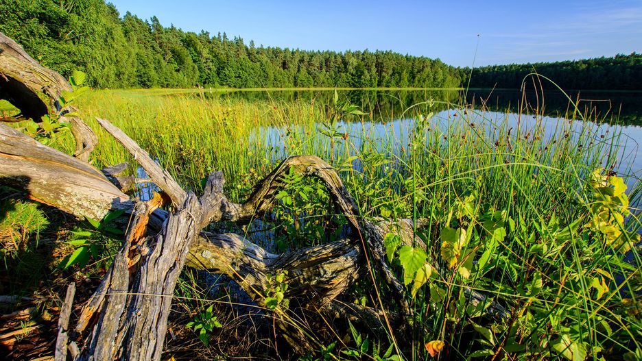 Jezioro Jasne (Czyste). Najbardziej przejrzyste jezioro w Polsce