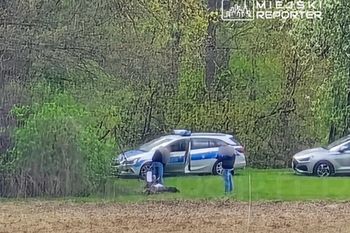 Makabryczne odkrycie. Z ziemi wystawała czaszka, odkopano cały szkielet