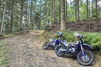 Próbowali zatrzymać motocyklistów. Ranny komendant Straży Leśnej