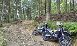 Próbowali zatrzymać motocyklistów. Ranny komendant Straży Leśnej