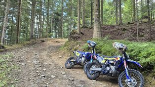 Próbowali zatrzymać motocyklistów. Ranny komendant Straży Leśnej