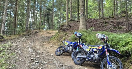 Próbowali zatrzymać motocyklistów. Ranny komendant Straży Leśnej