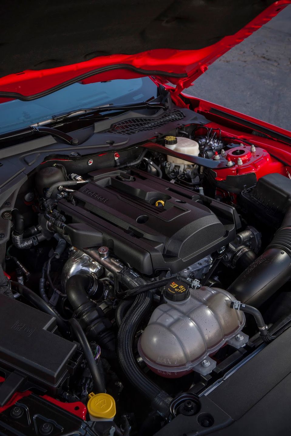 Zobacz Forda Mustanga 2015 na 100 nowych zdjęciach! 79