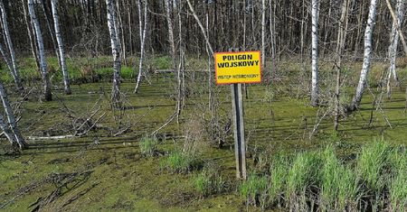 Nigdy nie chodź tu na grzyby. Nawet nie wiesz, co ci grozi